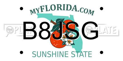 B8JSG Florida License Plate