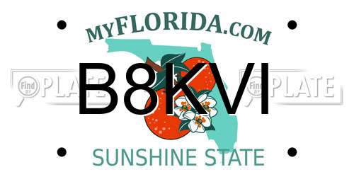 B8KVI Florida License Plate