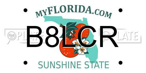 B8LCR Florida License Plate