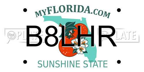 B8LHR Florida License Plate