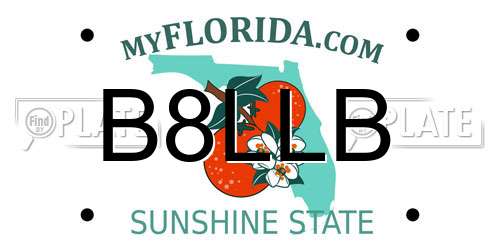 B8LLB Florida License Plate