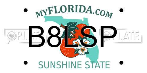 B8LSP Florida License Plate