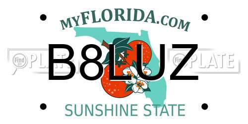 B8LUZ Florida License Plate