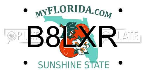 B8LXR Florida License Plate