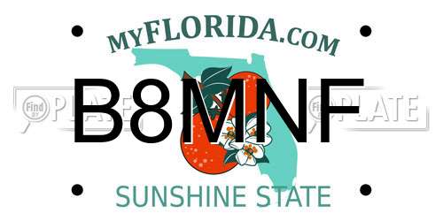 B8MNF Florida License Plate