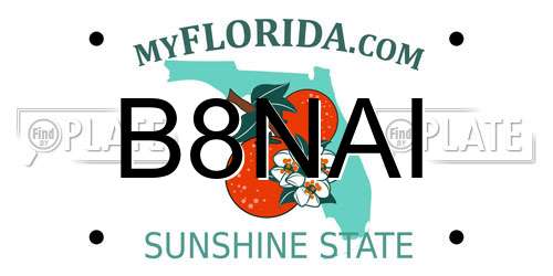 B8NAI Florida License Plate