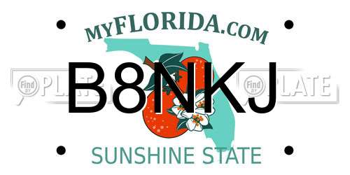 B8NKJ Florida License Plate