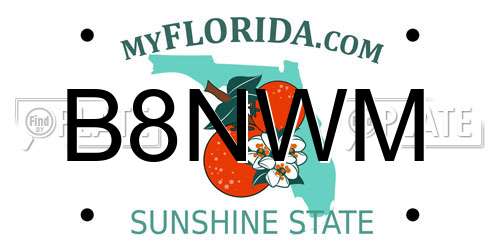 B8NWM Florida License Plate