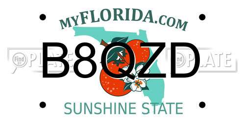 B8QZD Florida License Plate