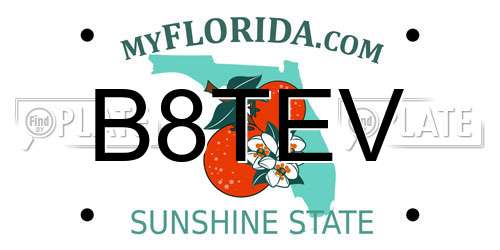 B8TEV Florida License Plate