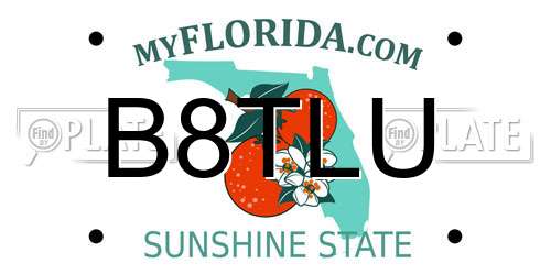 B8TLU Florida License Plate