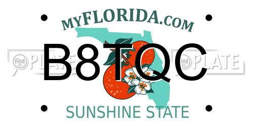 B8TQC Florida License Plate