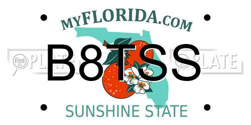 B8TSS Florida License Plate