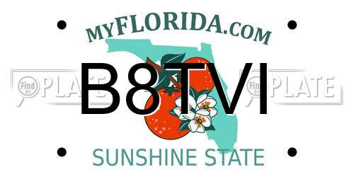 B8TVI Florida License Plate