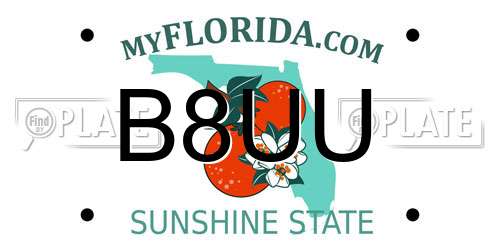 B8UU Florida License Plate