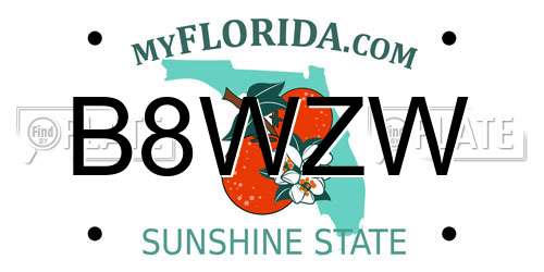 B8WZW Florida License Plate