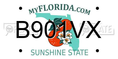 B901VX Florida License Plate