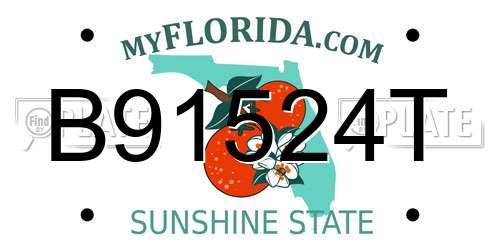 B91524T Florida License Plate