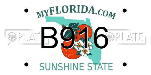 B916 Florida License Plate