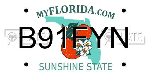 B91FYN Florida License Plate