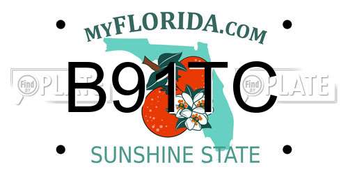 B91TC Florida License Plate