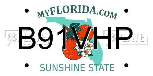 B91VHP Florida License Plate