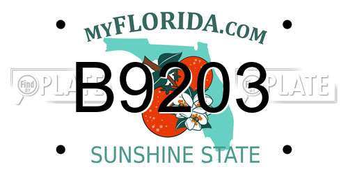 B9203 Florida License Plate