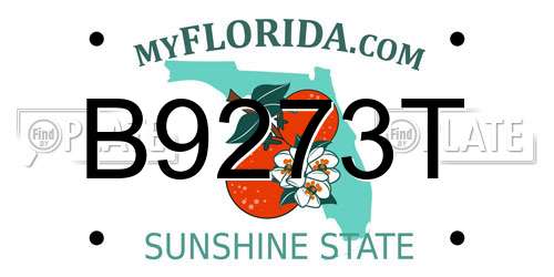B9273T Florida License Plate