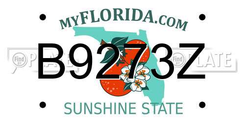 B9273Z Florida License Plate