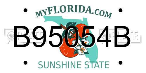 B95054B Florida License Plate