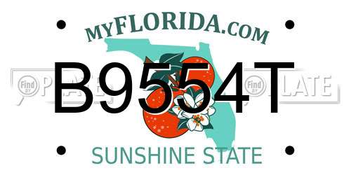 B9554T Florida License Plate