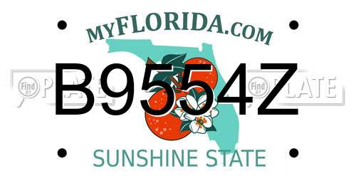 B9554Z Florida License Plate