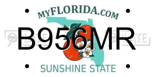 B956MR Florida License Plate