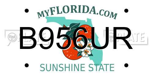 B956UR Florida License Plate
