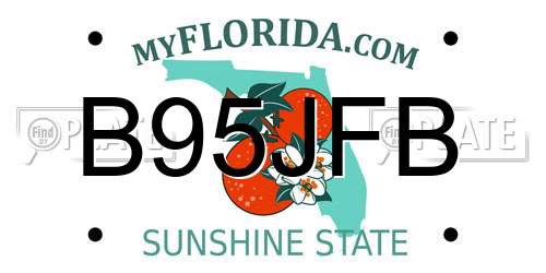B95JFB Florida License Plate