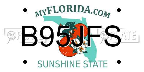 B95JFS Florida License Plate
