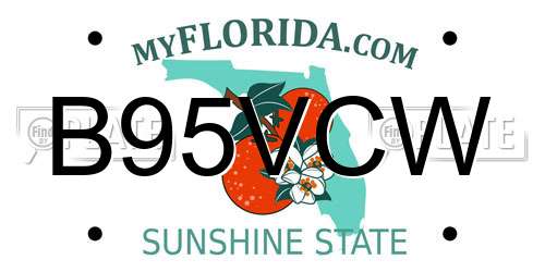 B95VCW Florida License Plate