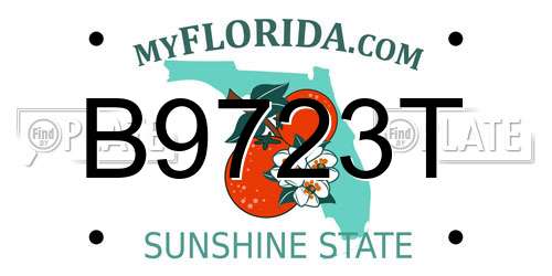 B9723T Florida License Plate