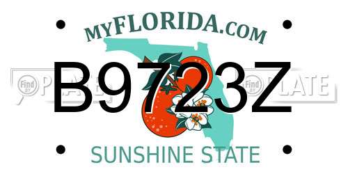 B9723Z Florida License Plate