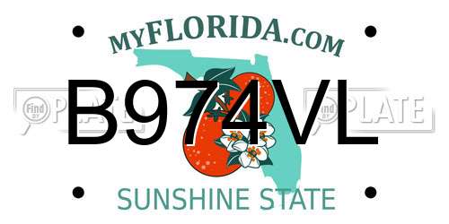 B974VL Florida License Plate