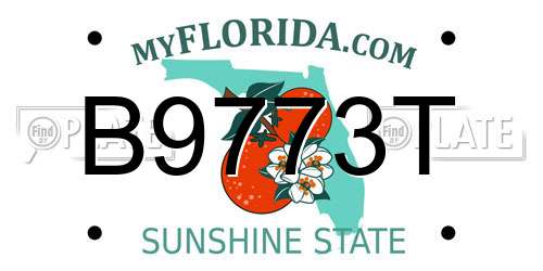 B9773T Florida License Plate