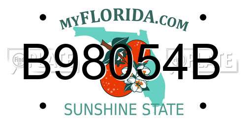 B98054B Florida License Plate