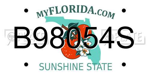 B98054S Florida License Plate