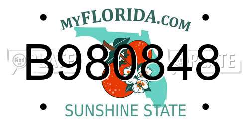 B980848 Florida License Plate
