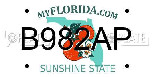 B982AP Florida License Plate