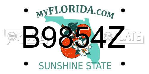 B9854Z Florida License Plate