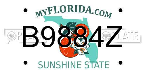 B9884Z Florida License Plate