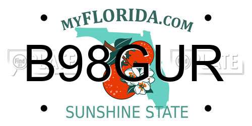 B98GUR Florida License Plate