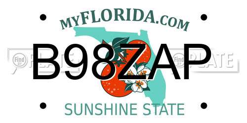 B98ZAP Florida License Plate