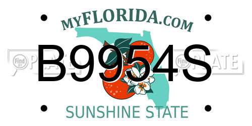 B9954S Florida License Plate